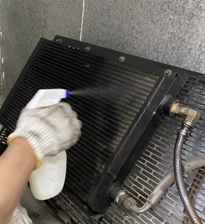 1712908068322314.jpeg